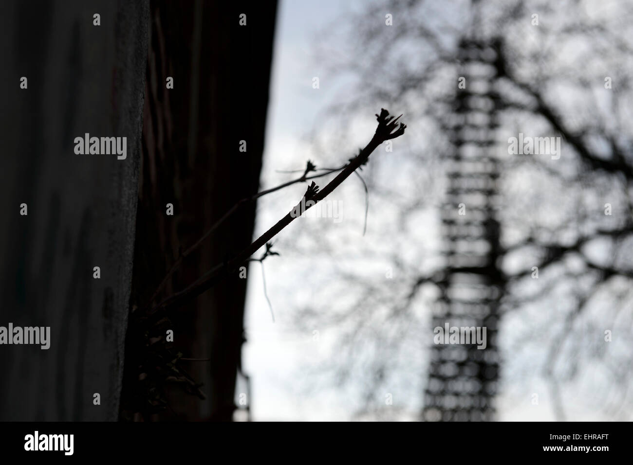 Eine große Skulptur von Ales Vesely, geformt wie eine Schiene in Richtung Himmel, die auch ein Symbol der Jakobsbrunnen Leiter installiert wurde im Prager aufgelösten Bubny Bahnhof, von welcher jüdische Transporte gingen in WWII und das ist eine Stille Gedenkstätte zur Erinnerung an den Holocaust-Opfer zu werden. Die Skulptur wurde symbolisch enthüllt in Prag, Tschechische Republik, 16. März 2015 anlässlich die Nacht zum 9. März 1944, als fast 4000 Gefangene, brachte aus der Terezin (Theresiendstadt) "Familienlager," Nordböhmen, in das Vernichtungslager in Oswiecim (Auschwitz) getötet wurden. (CTK Pho Stockfoto