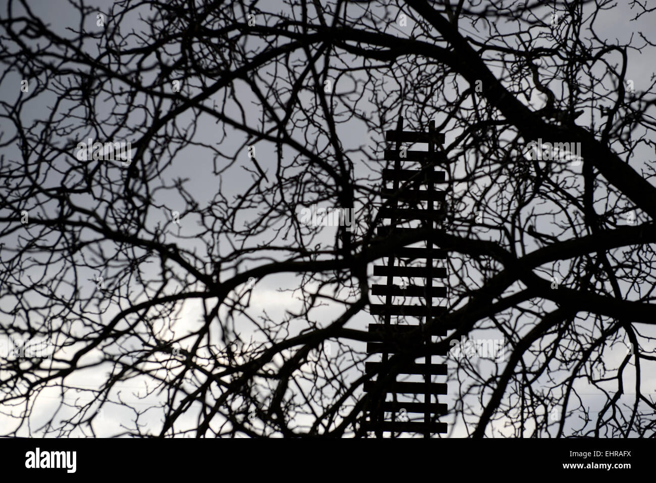 Eine große Skulptur von Ales Vesely, geformt wie eine Schiene in Richtung Himmel, die auch ein Symbol der Jakobsbrunnen Leiter installiert wurde im Prager aufgelösten Bubny Bahnhof, von welcher jüdische Transporte gingen in WWII und das ist eine Stille Gedenkstätte zur Erinnerung an den Holocaust-Opfer zu werden. Die Skulptur wurde symbolisch enthüllt in Prag, Tschechische Republik, 16. März 2015 anlässlich die Nacht zum 9. März 1944, als fast 4000 Gefangene, brachte aus der Terezin (Theresiendstadt) "Familienlager," Nordböhmen, in das Vernichtungslager in Oswiecim (Auschwitz) getötet wurden. (CTK Pho Stockfoto