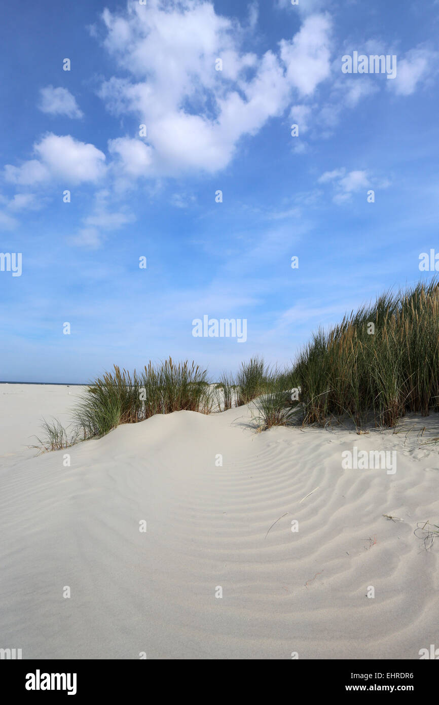 Sandstrand - Düne Stockfoto