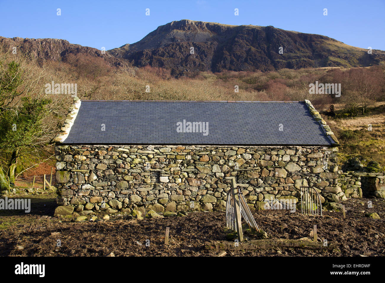 Gwynedd, Snowdonia, Cwm Wimpel. Stein-Scheune, restauriert unter Tir Gofal-Agrar-Umwelt-Programm Stockfoto