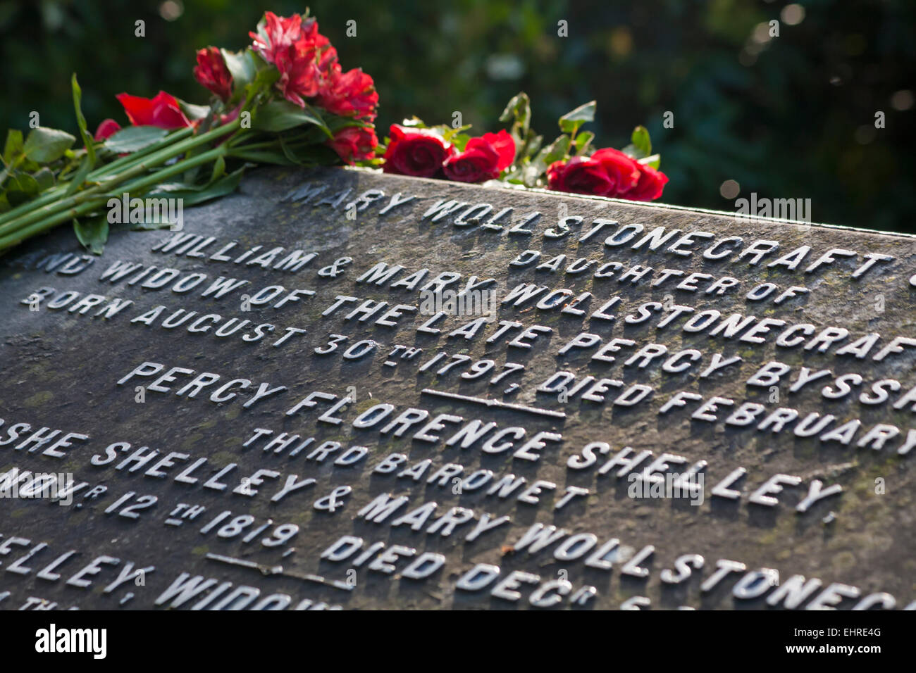 Rote Rosen am Grab von Mary Shelley, Mary Wollstonecraft Shelley ...
