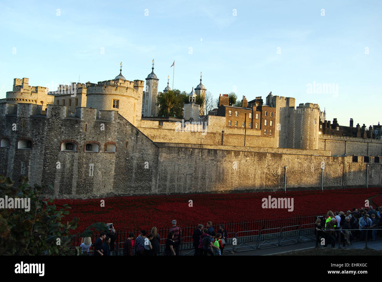 Tower of London Mohn Stockfoto