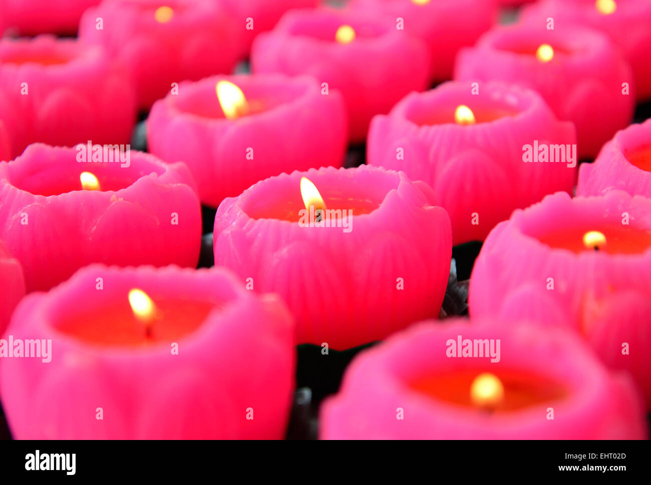 Selektiven Fokus der pink Lotus Form Kerzen. Stockfoto