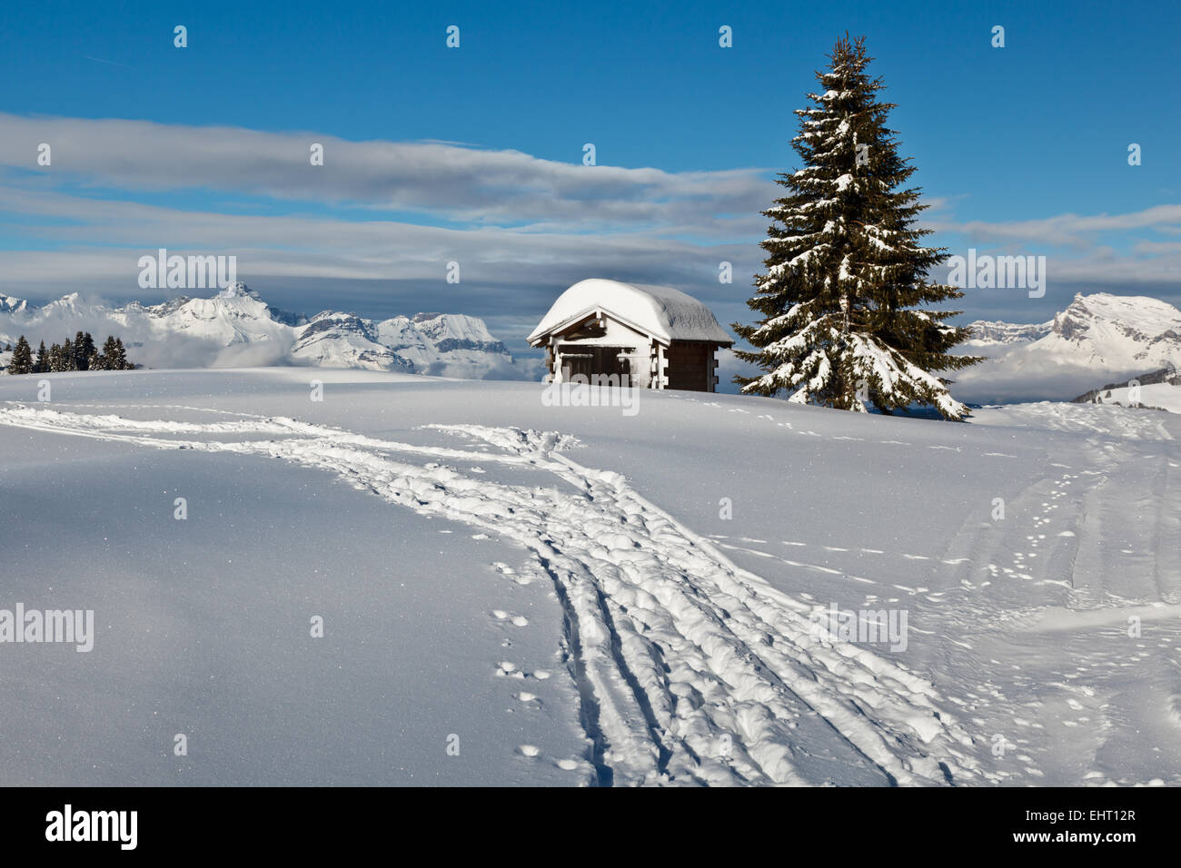 Kleine Hütte und Tanne auf der Bergspitze in Französische Alpen Stockfoto