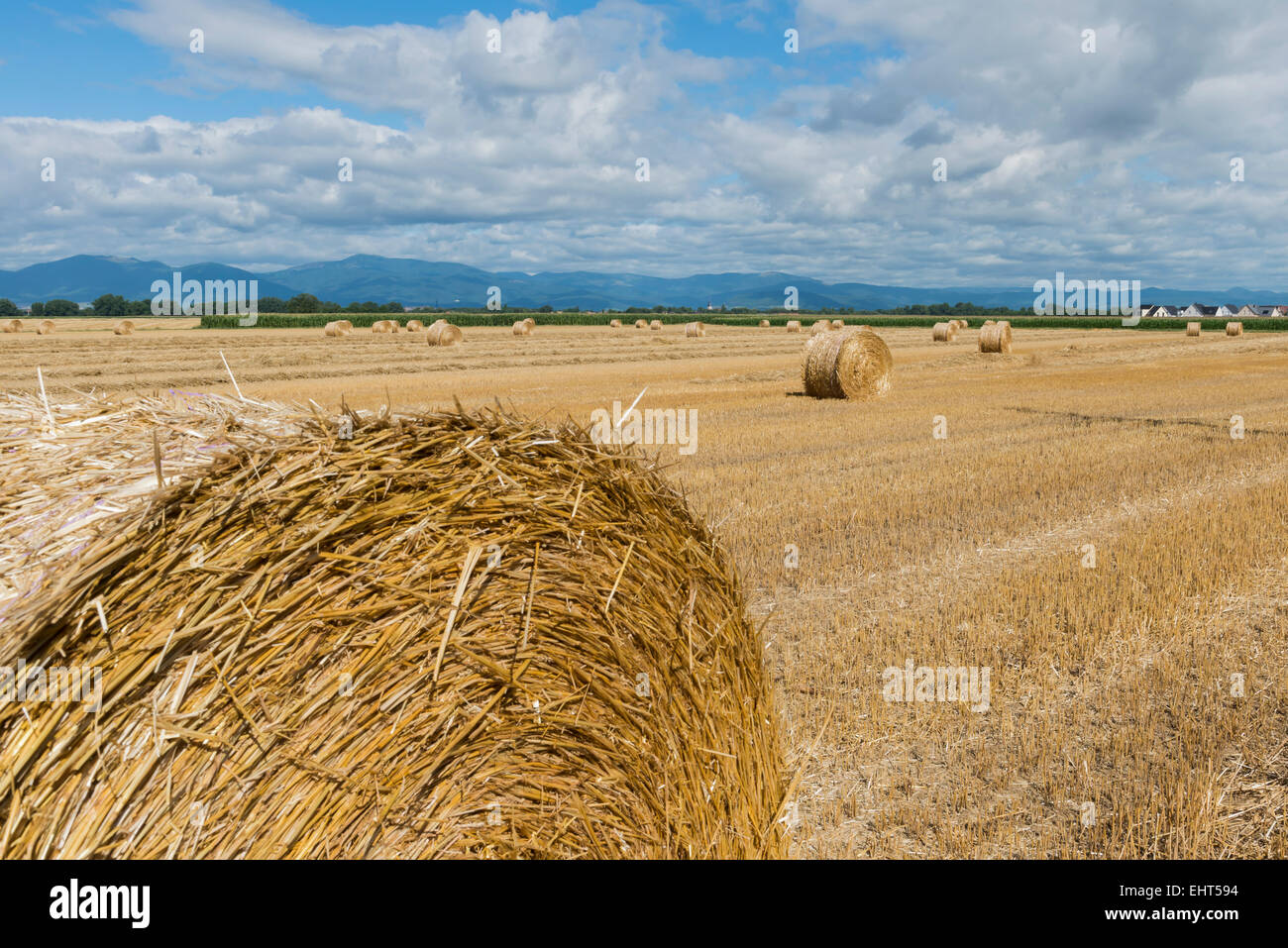 Strohballen auf einem Feld in Frankreich mit Wolken am Himmel. Stockfoto