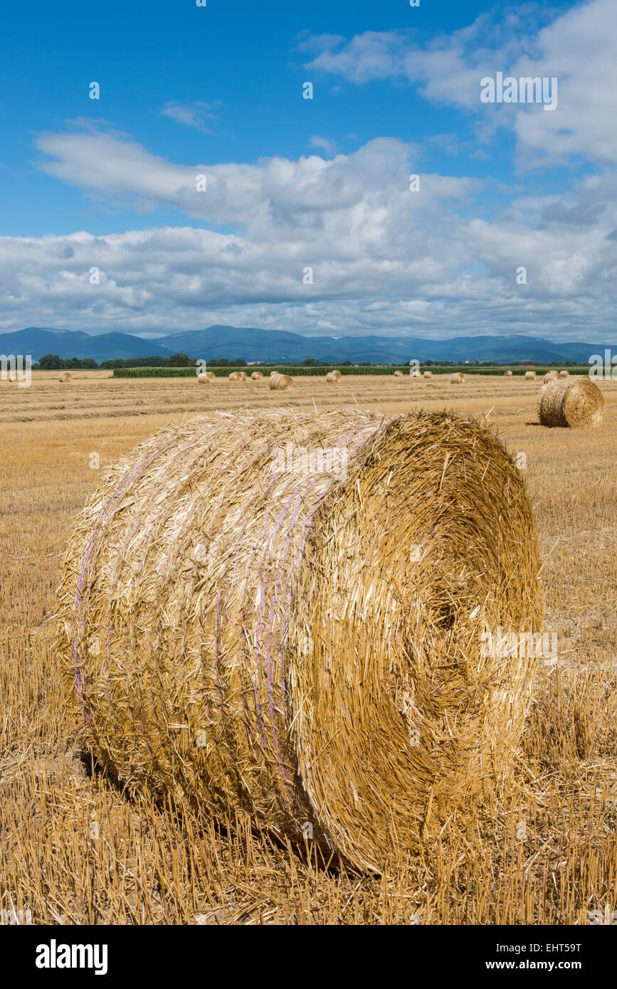 Strohballen auf einem Feld in Frankreich. Stockfoto