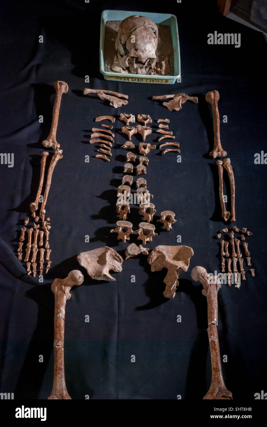 Frühgeschichte Skelett in Batujaya archäologischen Stätte im Karawang Regency, West-Java, Indonesien. Stockfoto