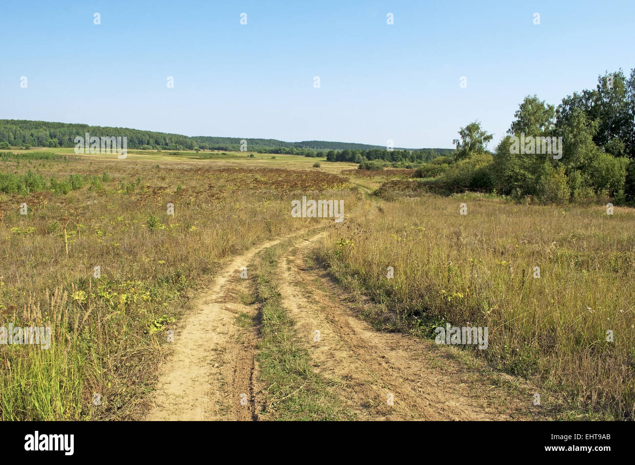 Land-Feldweg Stockfoto