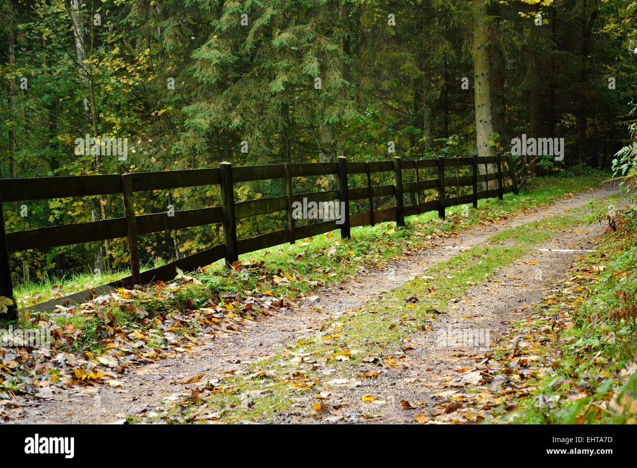 Waldweg mit Holzzaun im Herbst Stockfoto