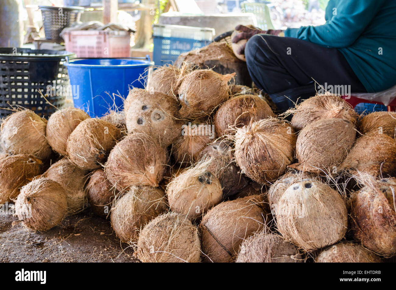 Landwirt schneiden Kokosnußoberteil für die Verarbeitung von landwirtschaftlicher Erzeugnissen in einer kleinen Fabrik in Thailand. Stockfoto