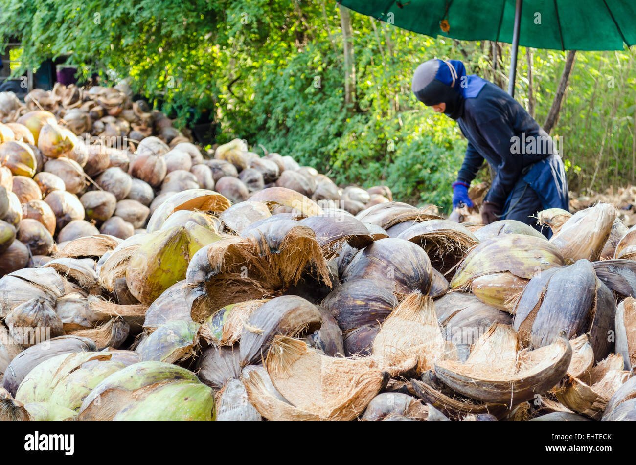 Landwirt schneiden Kokosnußoberteil für die Verarbeitung von landwirtschaftlicher Erzeugnissen in einer kleinen Fabrik in Thailand. Stockfoto