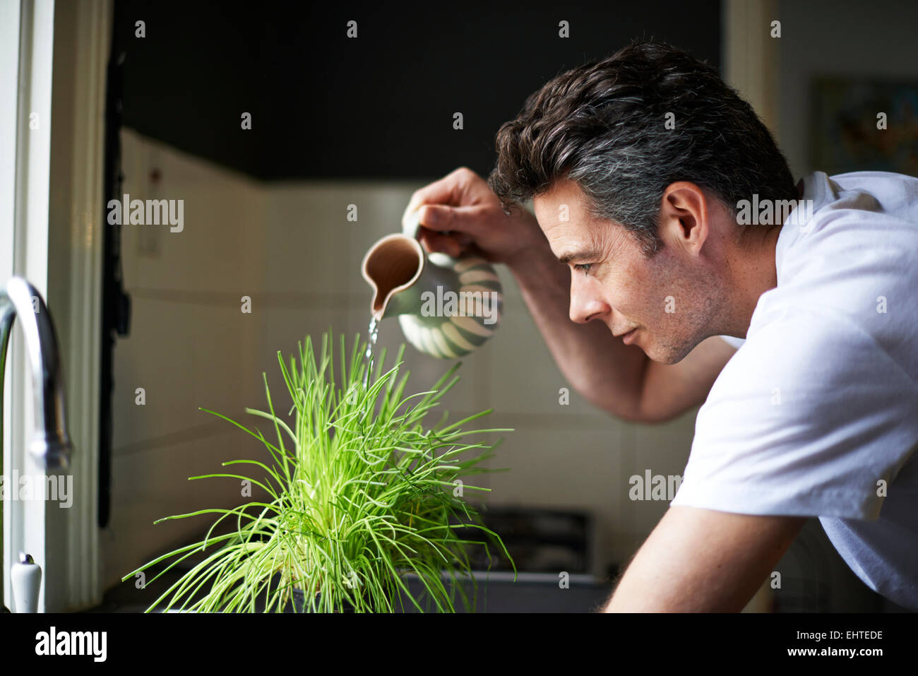 Mann in der Küche, mit Krug, Bewässerung von Pflanzen Stockfoto