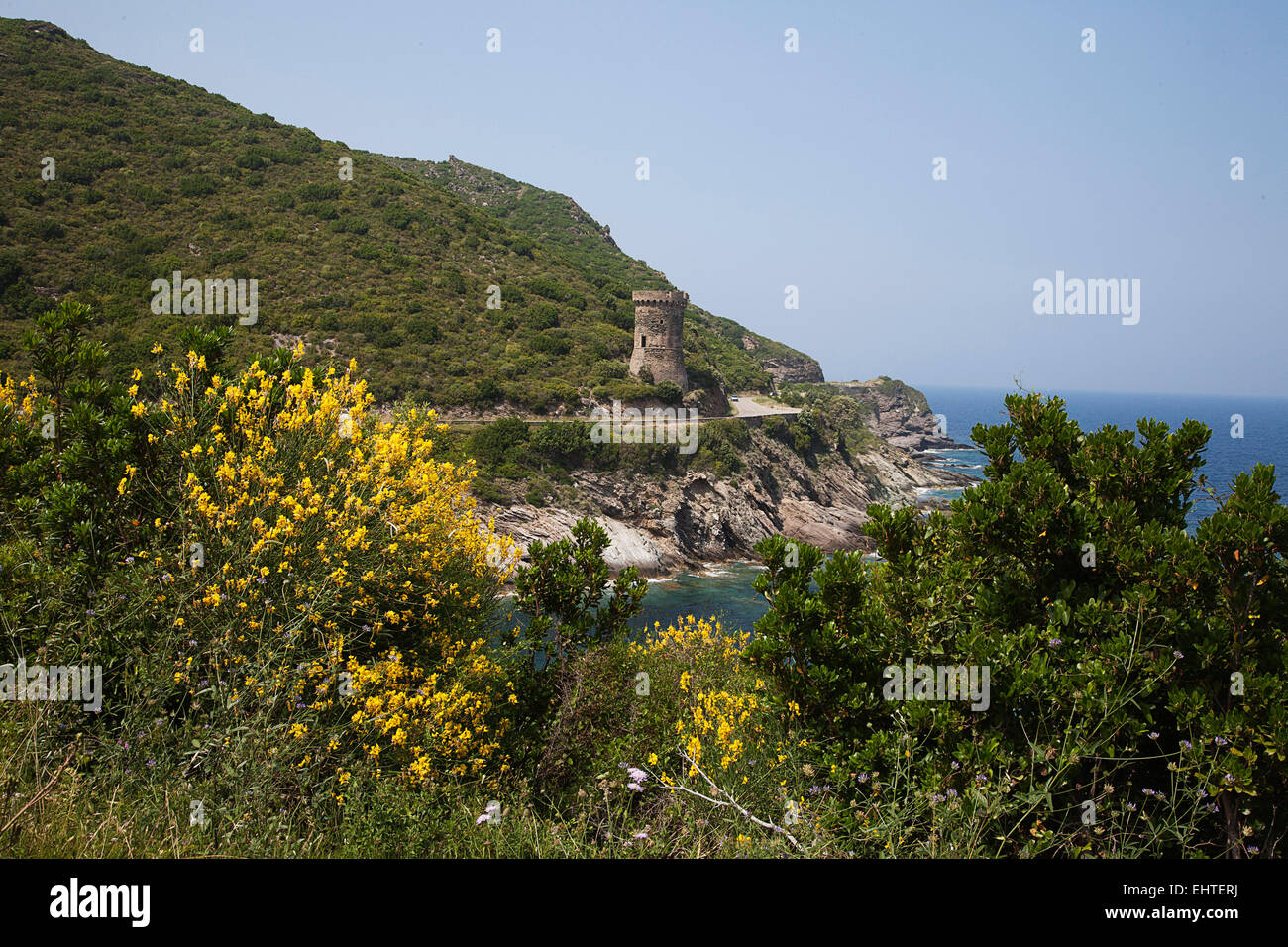 Der nördlichen Halbinsel von Korsika ist robust und schön, mit Wildblumen und dramatische Küstenlandschaften im Juni. Stockfoto