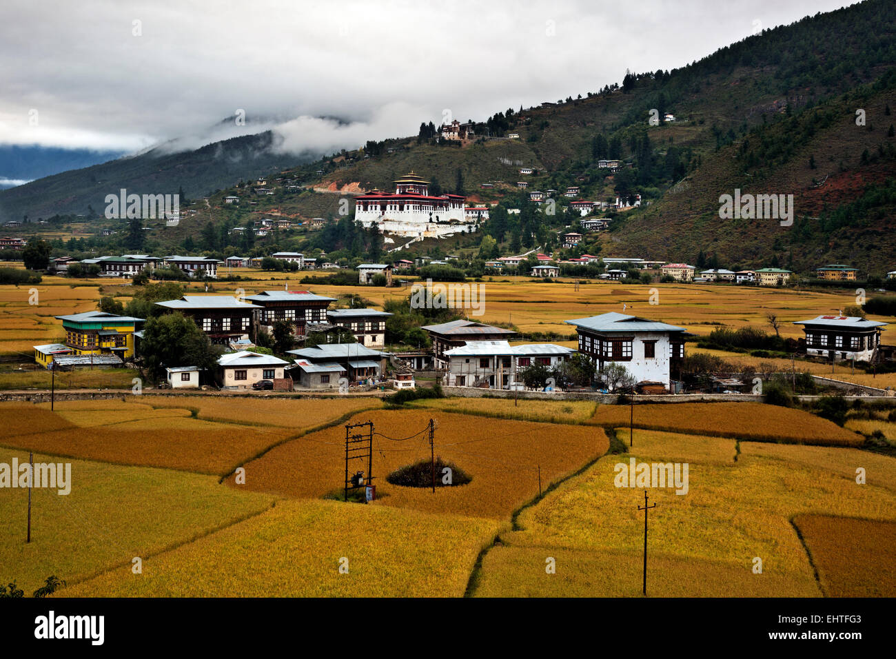 BU00370-00... BHUTAN - Felder von rotem Reis wächst im Paro Tal unterhalb der Paro Dzong und das Nationalmuseum in Paro. Stockfoto
