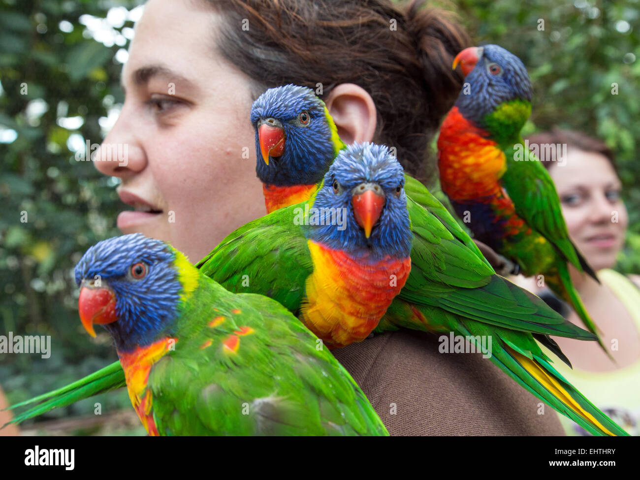 BIOTROPICA ZOOLOGISCHEN GEWÄCHSHAUS, HAUTE-NORMANDIE, FRANKREICH Stockfoto