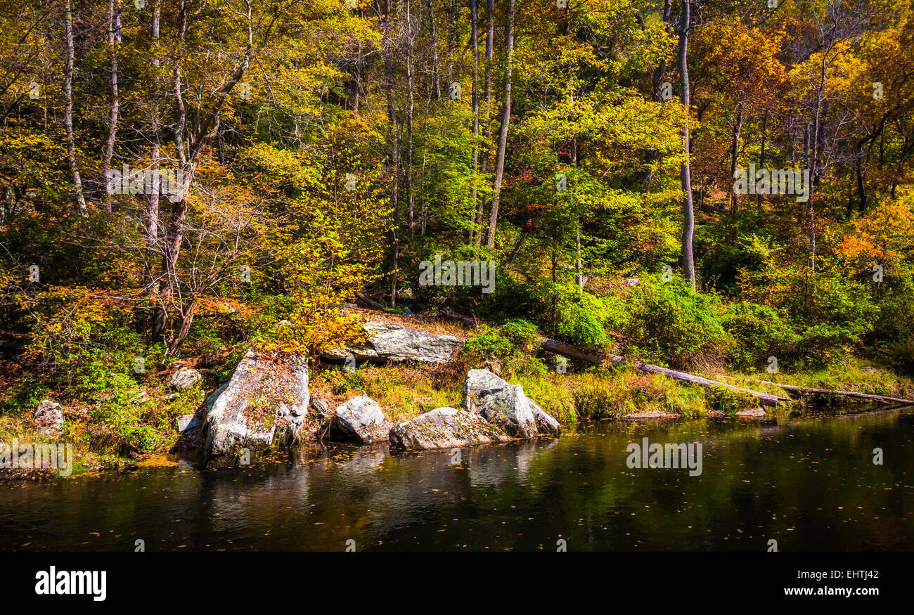 Anfang Herbst Farbe Fluss Schießpulver in Schießpulver Falls State Park, Maryland. Stockfoto