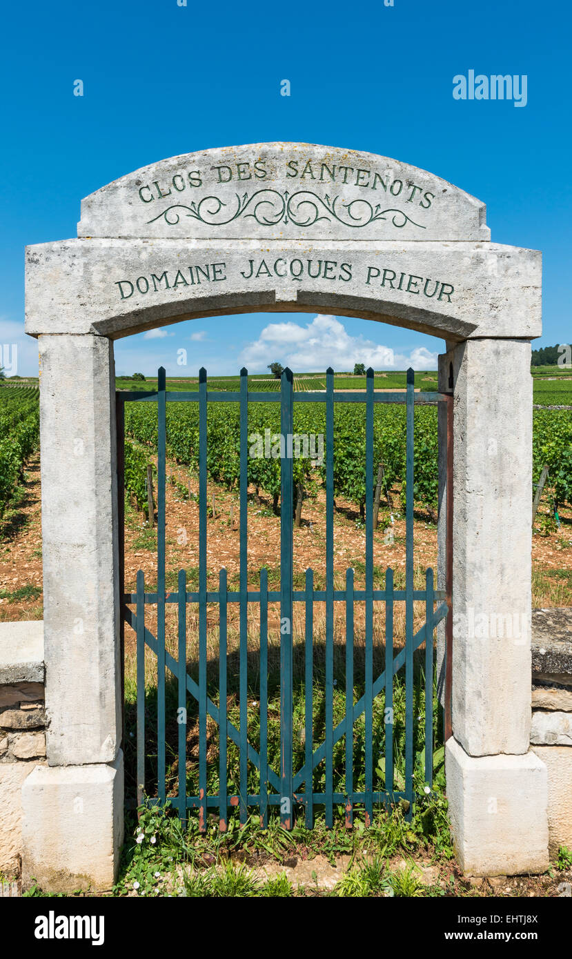 Eingang eines Weinbergs in Baune, Frankreich. Stockfoto