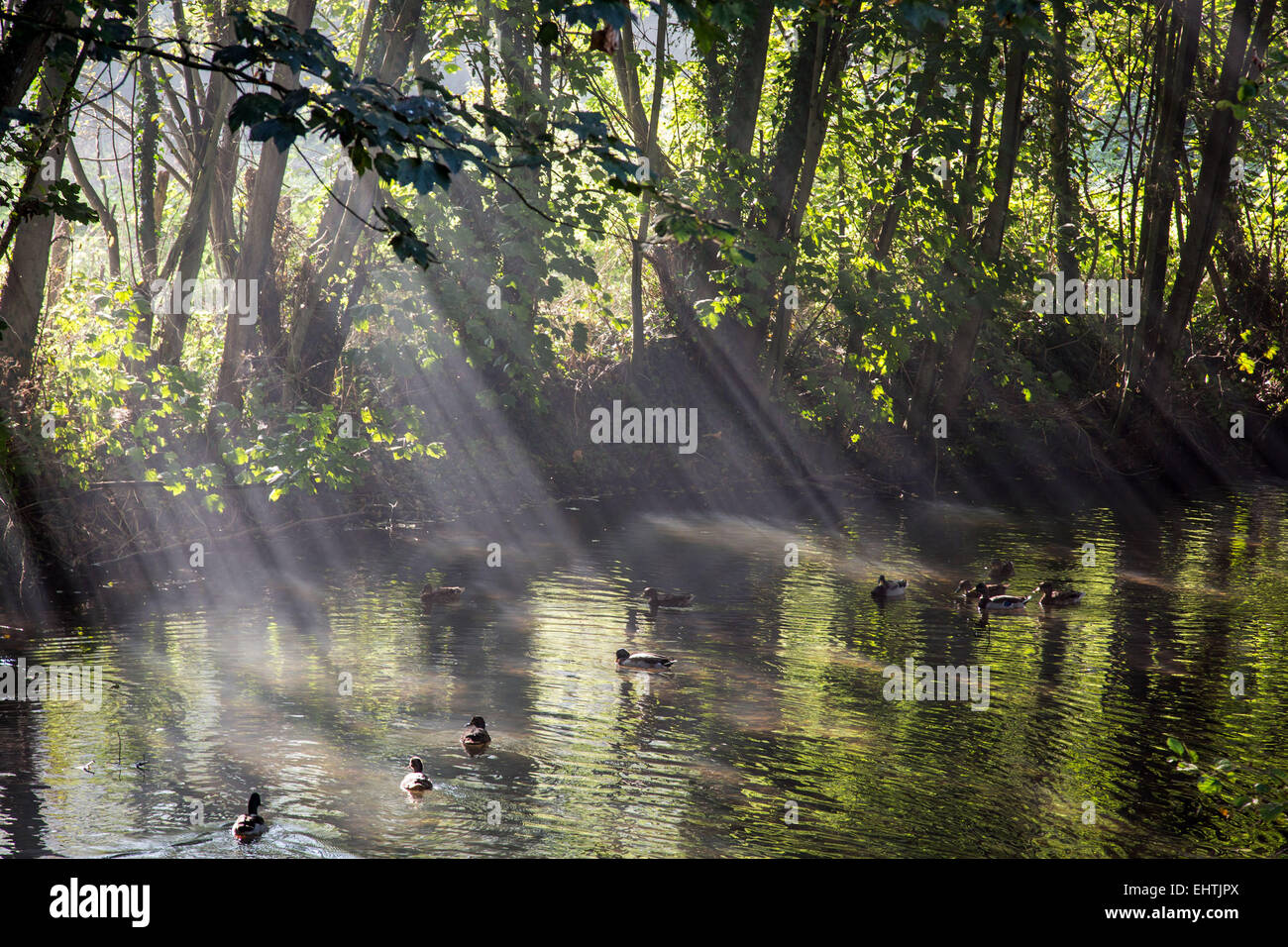 ILLIERS-COMBRAY, IN DIE FUßSTAPFEN VON MARCEL PROUST, EURE-ET-LOIR (28), FRANKREICH Stockfoto