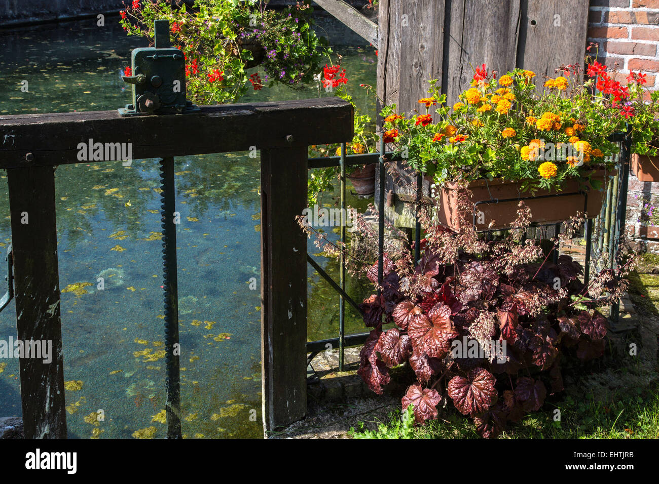 EURE-ET-LOIR (28), FRANKREICH Stockfoto