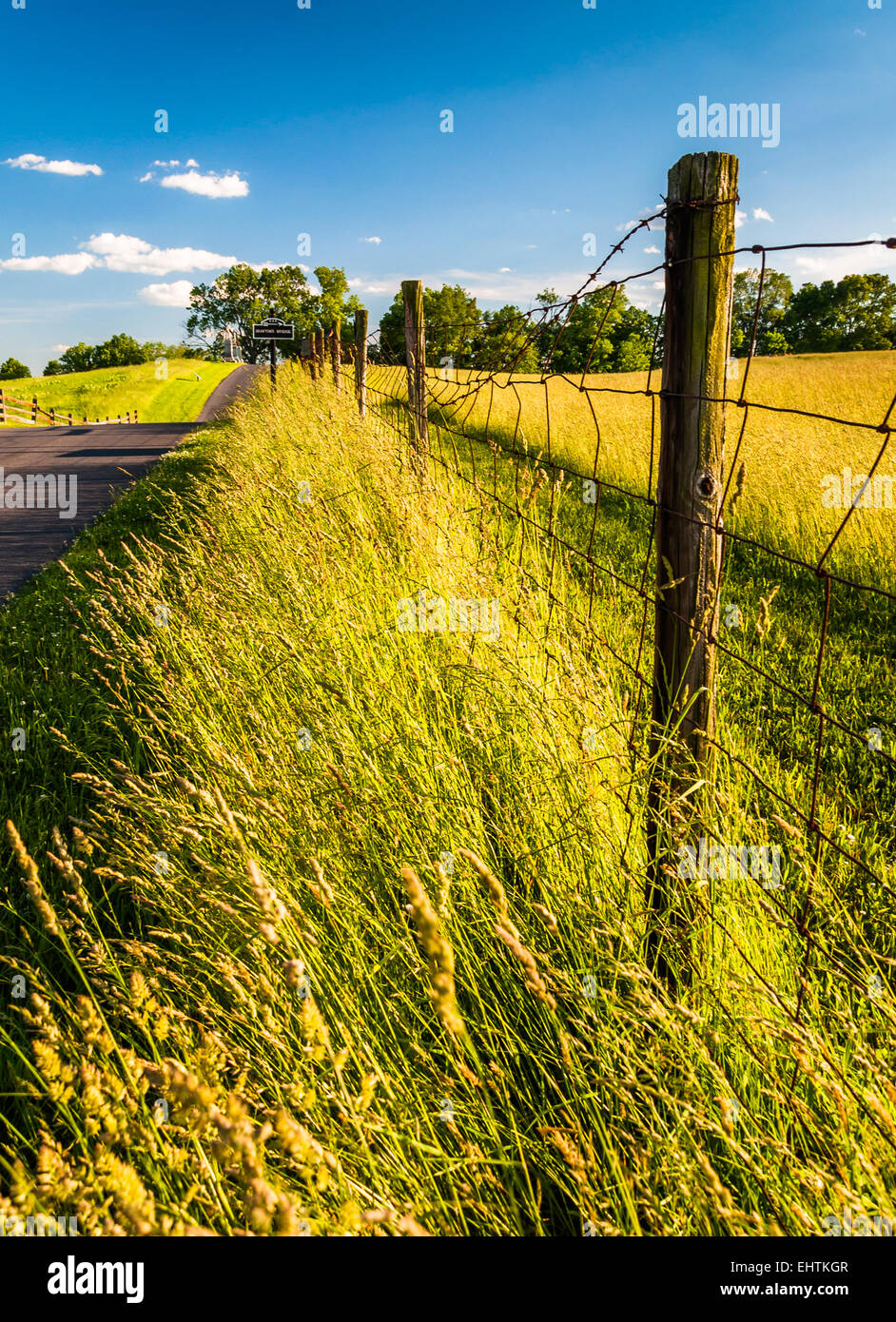 Zaun und Gräser entlang einer Straße am Antietam National Battlefield, Maryland. Stockfoto
