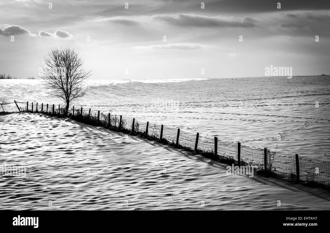 Zaun und Baum auf einem Schneefeld überdachten Hof in ländlichen Carroll County, Maryland. Stockfoto