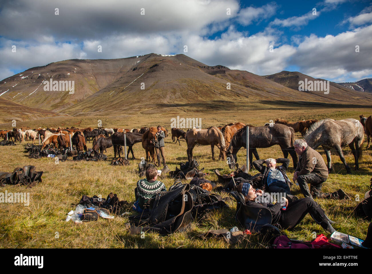 EINE REISE IN ISLAND, EUROPA Stockfoto