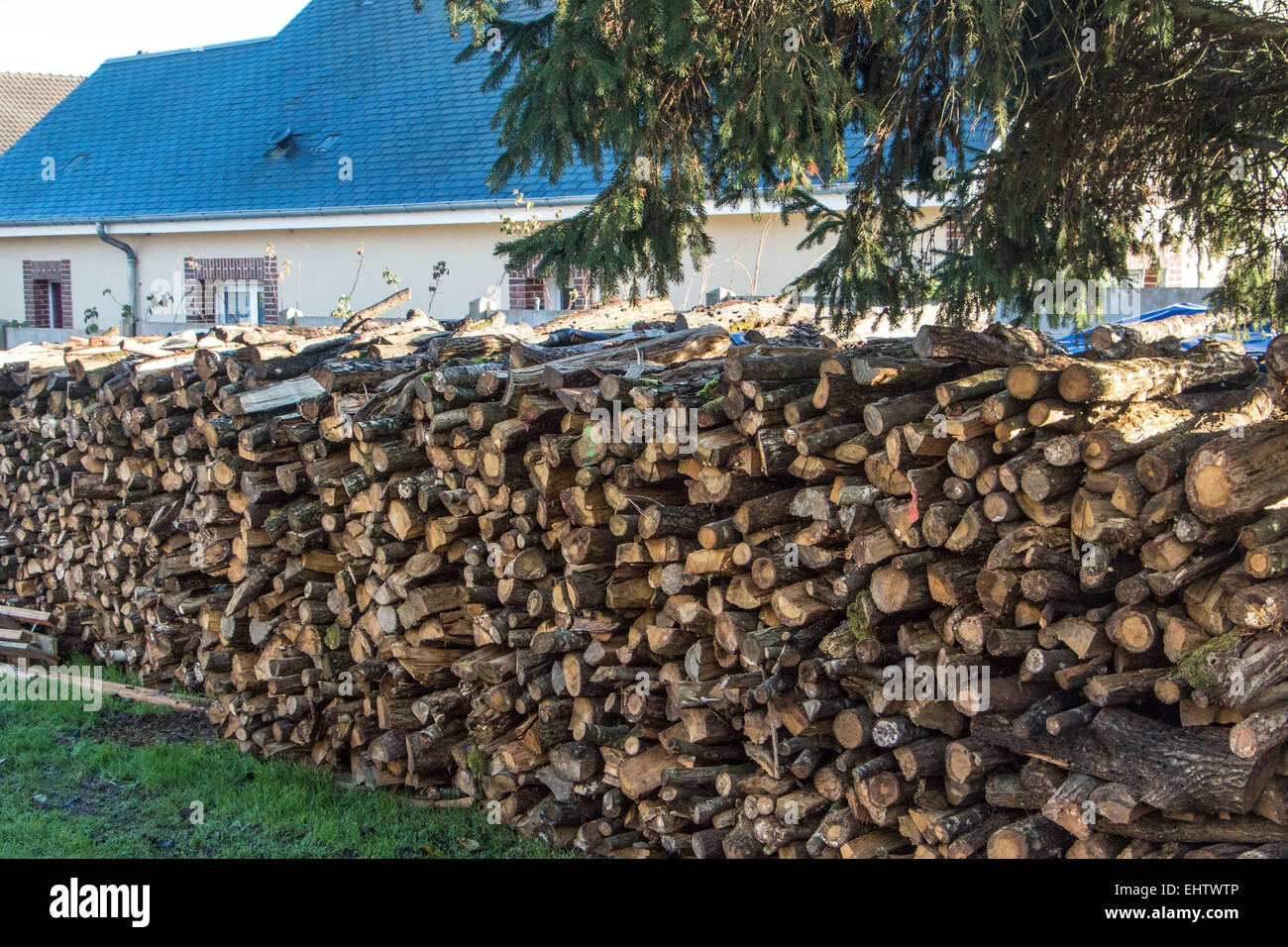 ABBILDUNG VON FEUER HOLZ, FRANKREICH Stockfoto