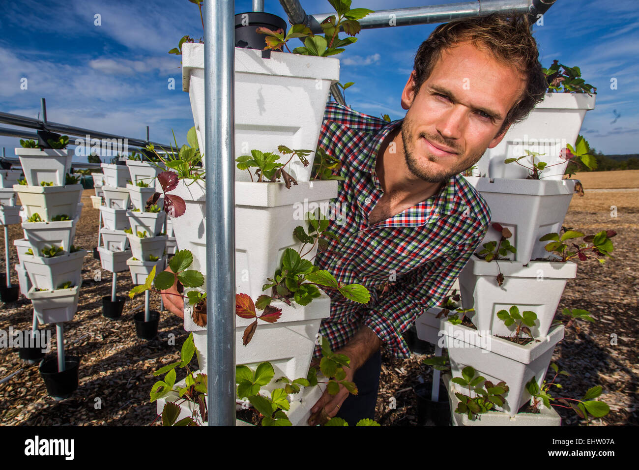 DEMONSTRATION VON URBAN FARMING, SAINT-CYR L ' ECOLE (78) YVELINES, ILE DE FRANCE, FRANKREICH Stockfoto