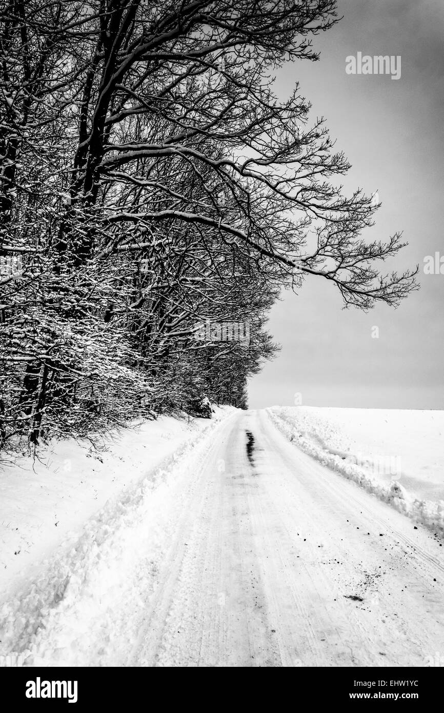 Schneebedeckte Straße in ländlichen Carroll County, Maryland. Stockfoto