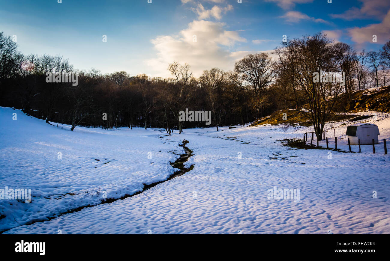 Stream in einem schneebedeckten Feld in ländlichen Baltimore County, Maryland. Stockfoto