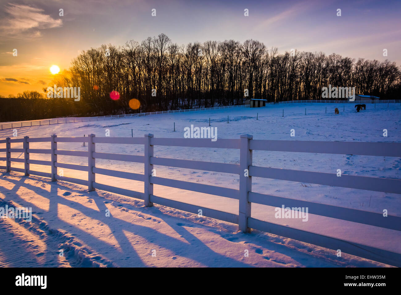 Sonnenuntergang über einem Feld-Hof in ländlichen Carroll County, Maryland. Stockfoto