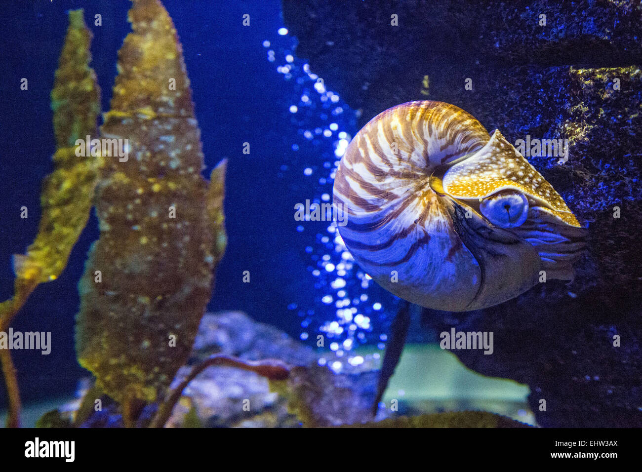 ABBILDUNG VON BANGKOK, THAILAND, SÜDOSTASIEN Stockfoto