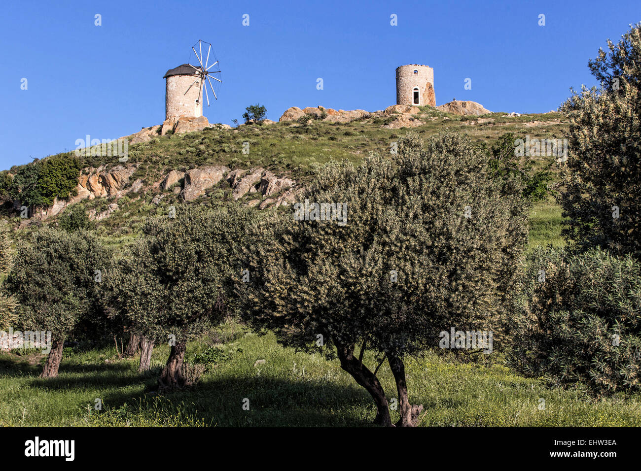 DER OLIVEN-RIVIERA, ÄGÄIS, TÜRKEI Stockfoto