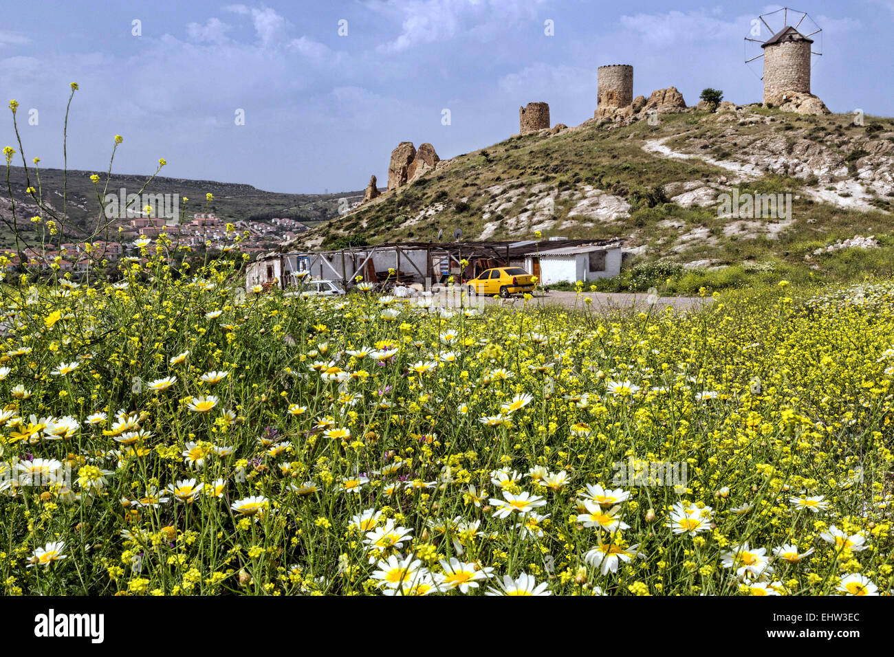 DER OLIVEN-RIVIERA, ÄGÄIS, TÜRKEI Stockfoto