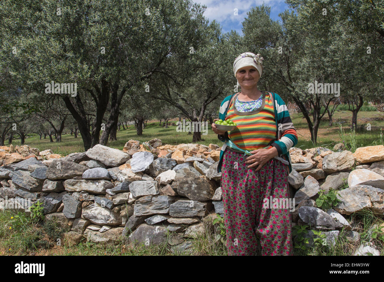 DER OLIVEN-RIVIERA, ÄGÄIS, TÜRKEI Stockfoto