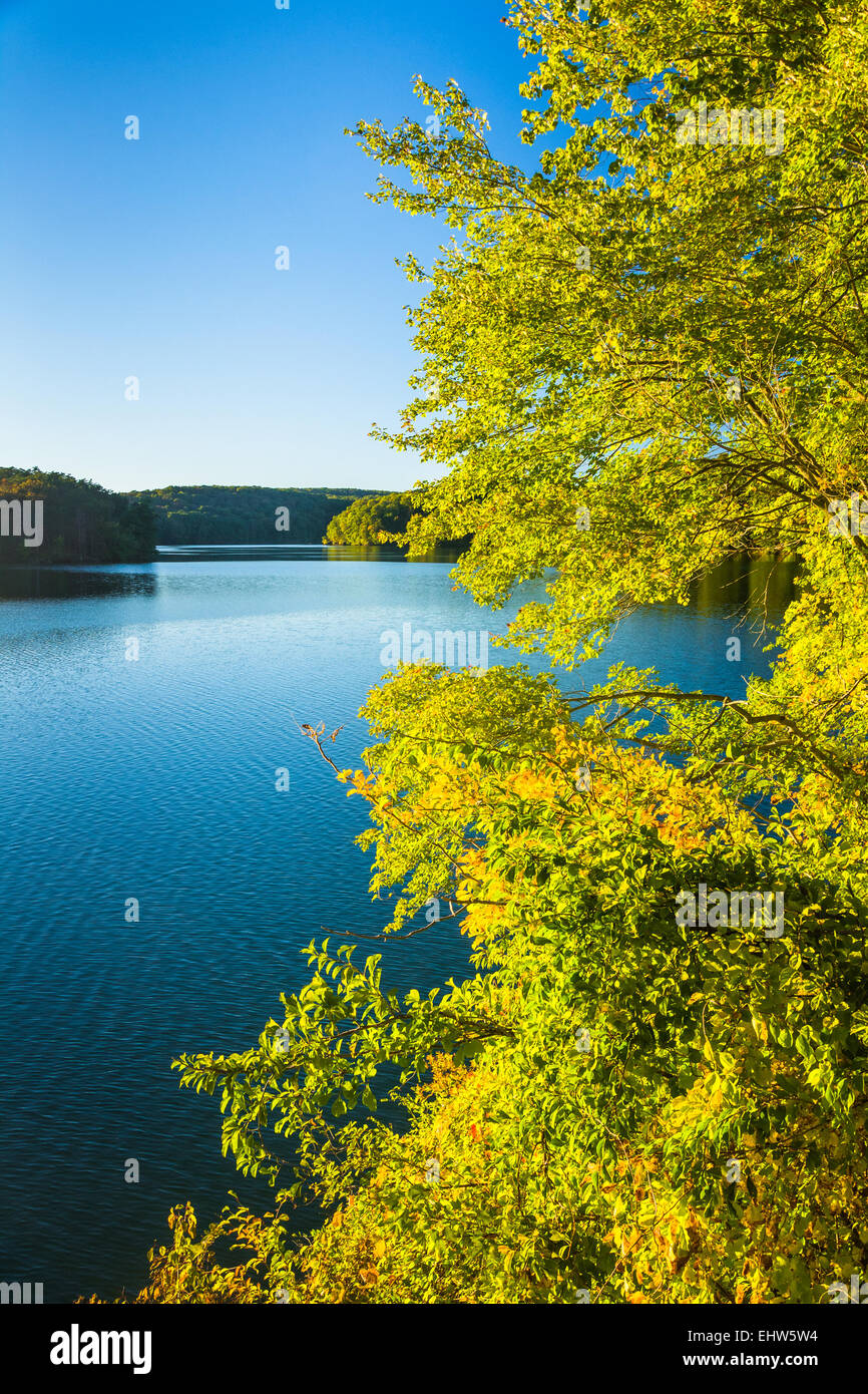 Bäume und Sträucher auf das Ufer Prettyboy Reservoir in Baltimore County, Maryland. Stockfoto