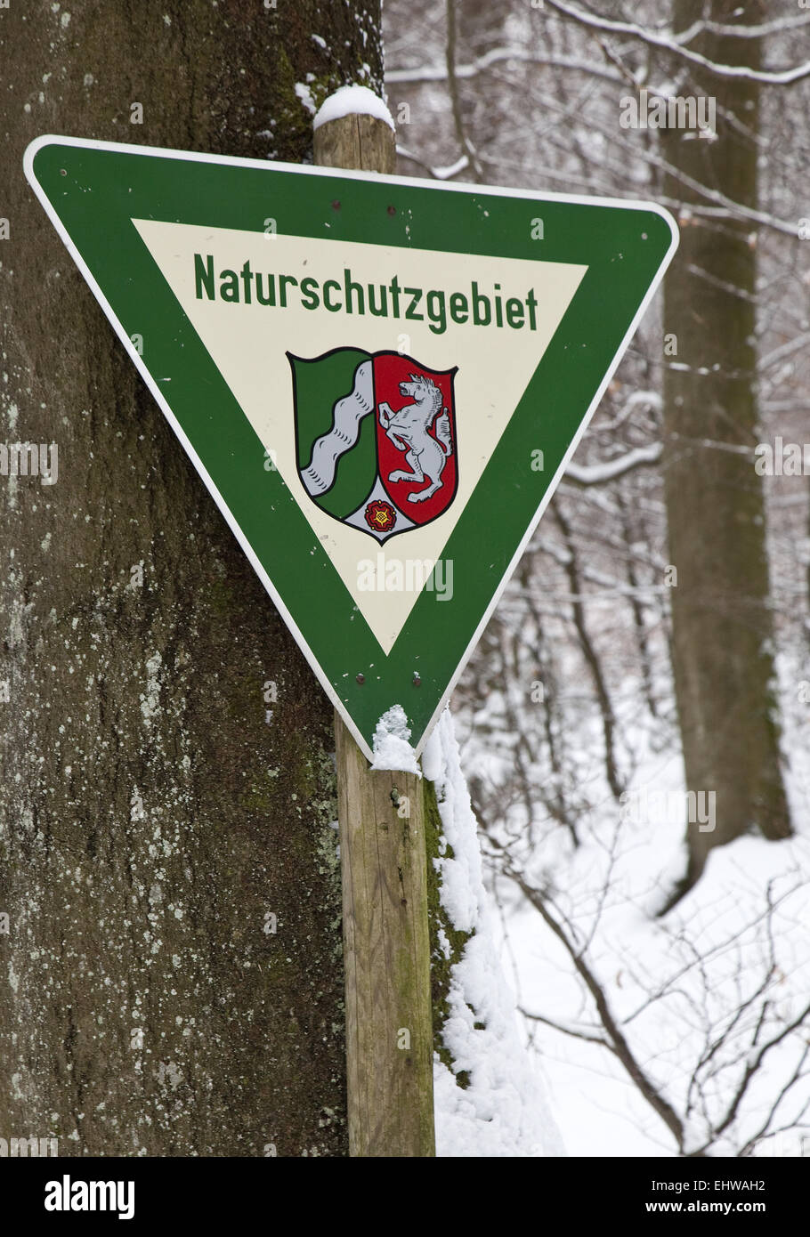 Das Zeichen-Naturschutzgebiet in Bestwig. Stockfoto