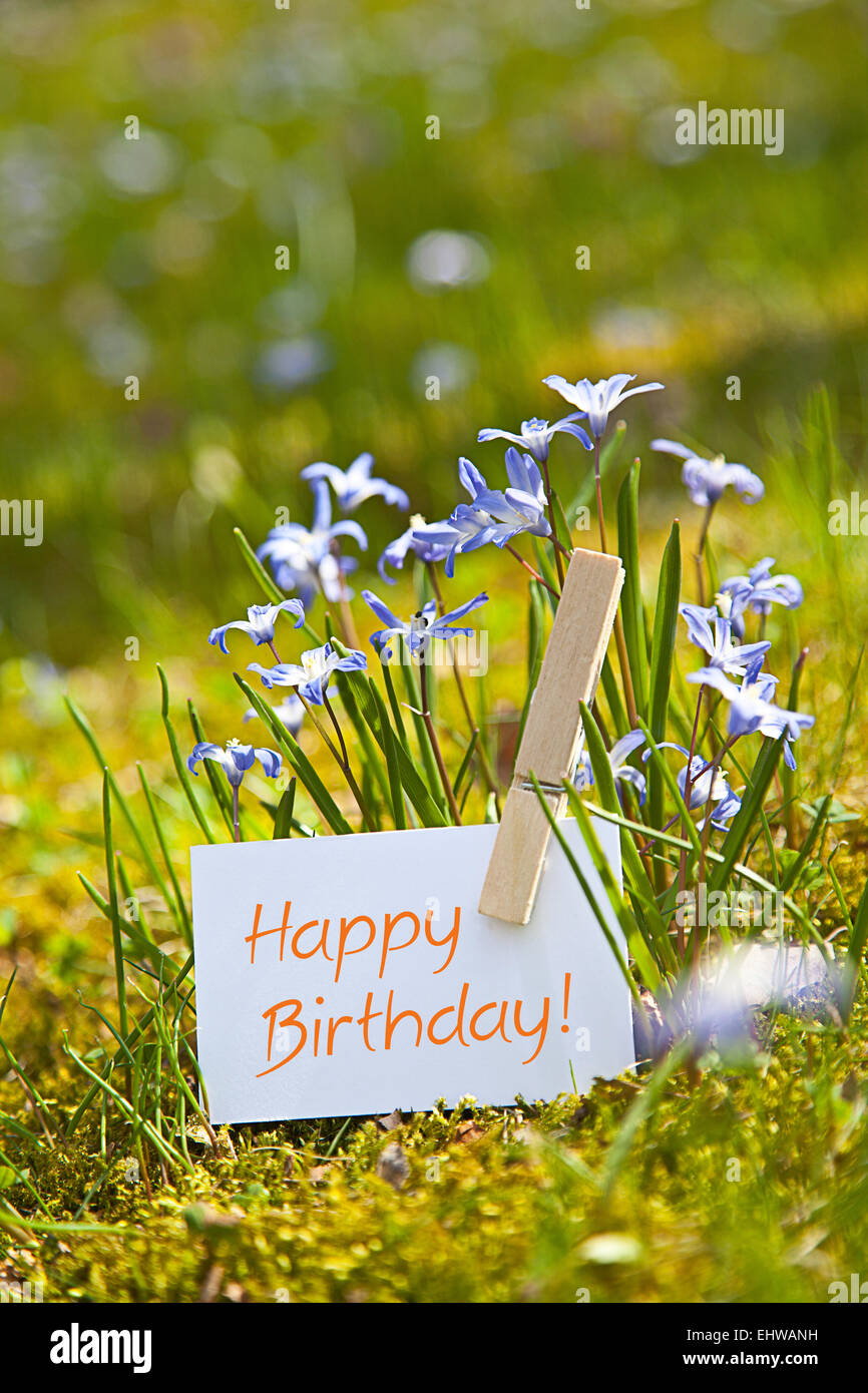 "Happy Birthday! mit Frühlingsblumen Stockfoto