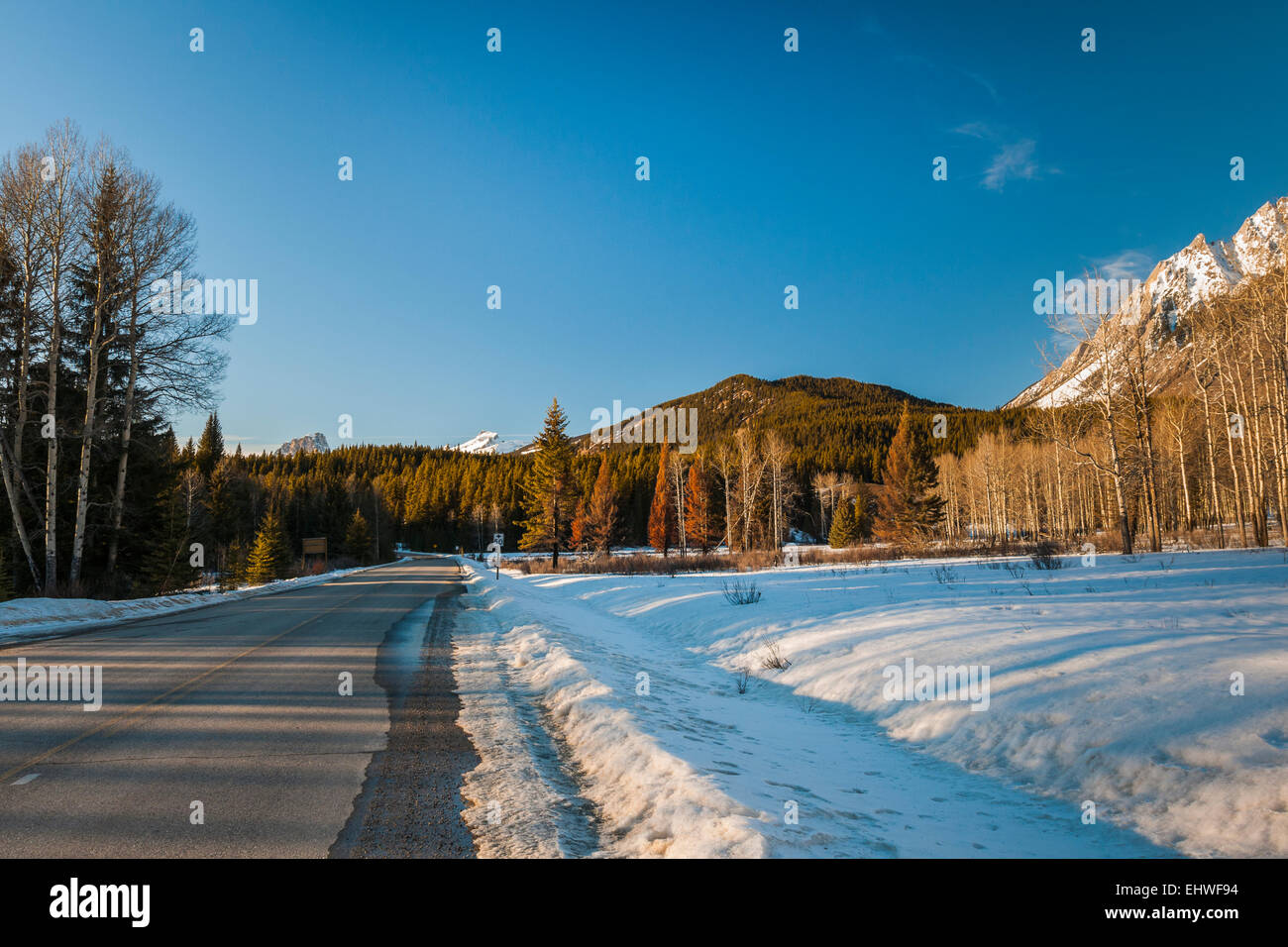 Winterlandschaft, Banff Nationalpark Alberta Kanada Stockfoto