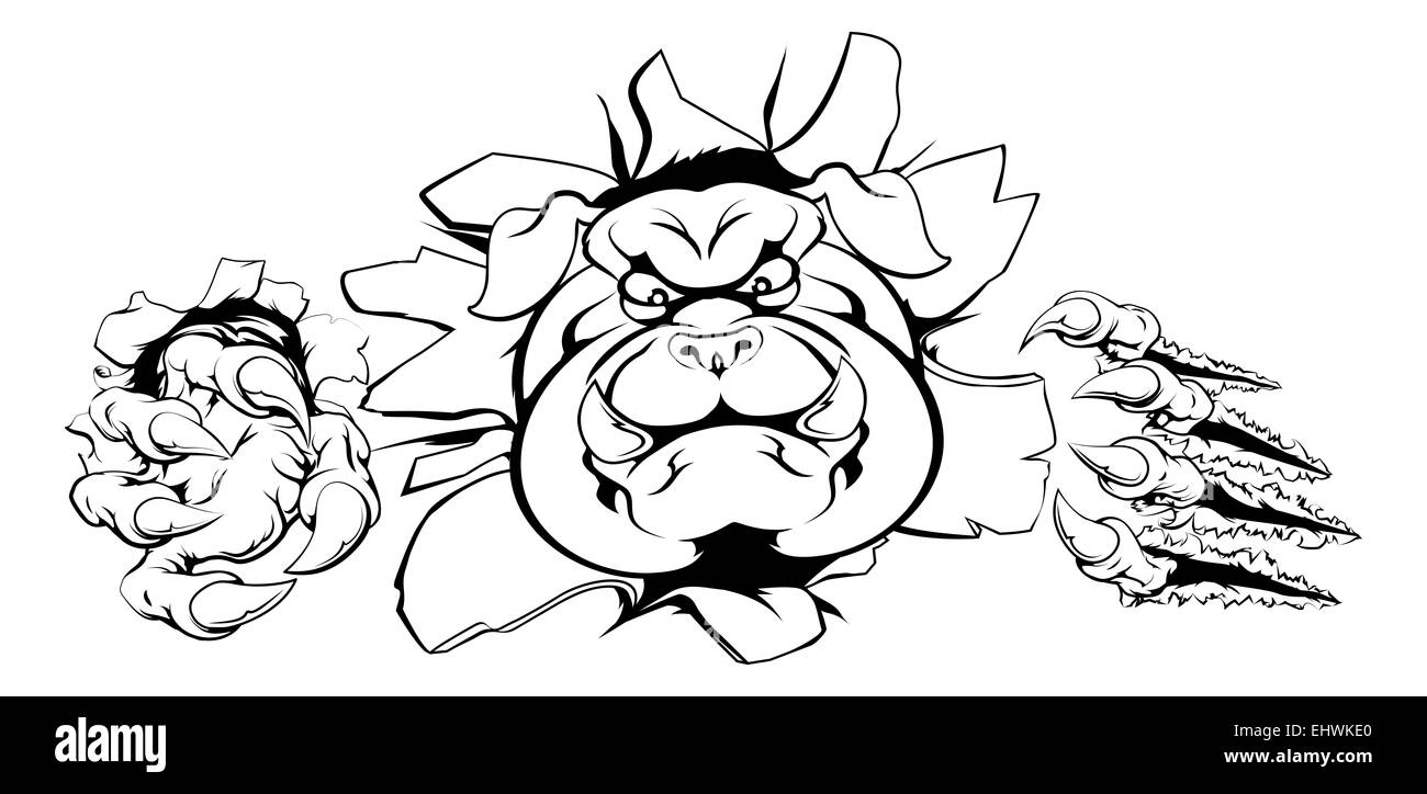 Harte mittlere muskuläre Bulldog Charakter oder Sport Maskottchen Rippen aus Wand Stockfoto