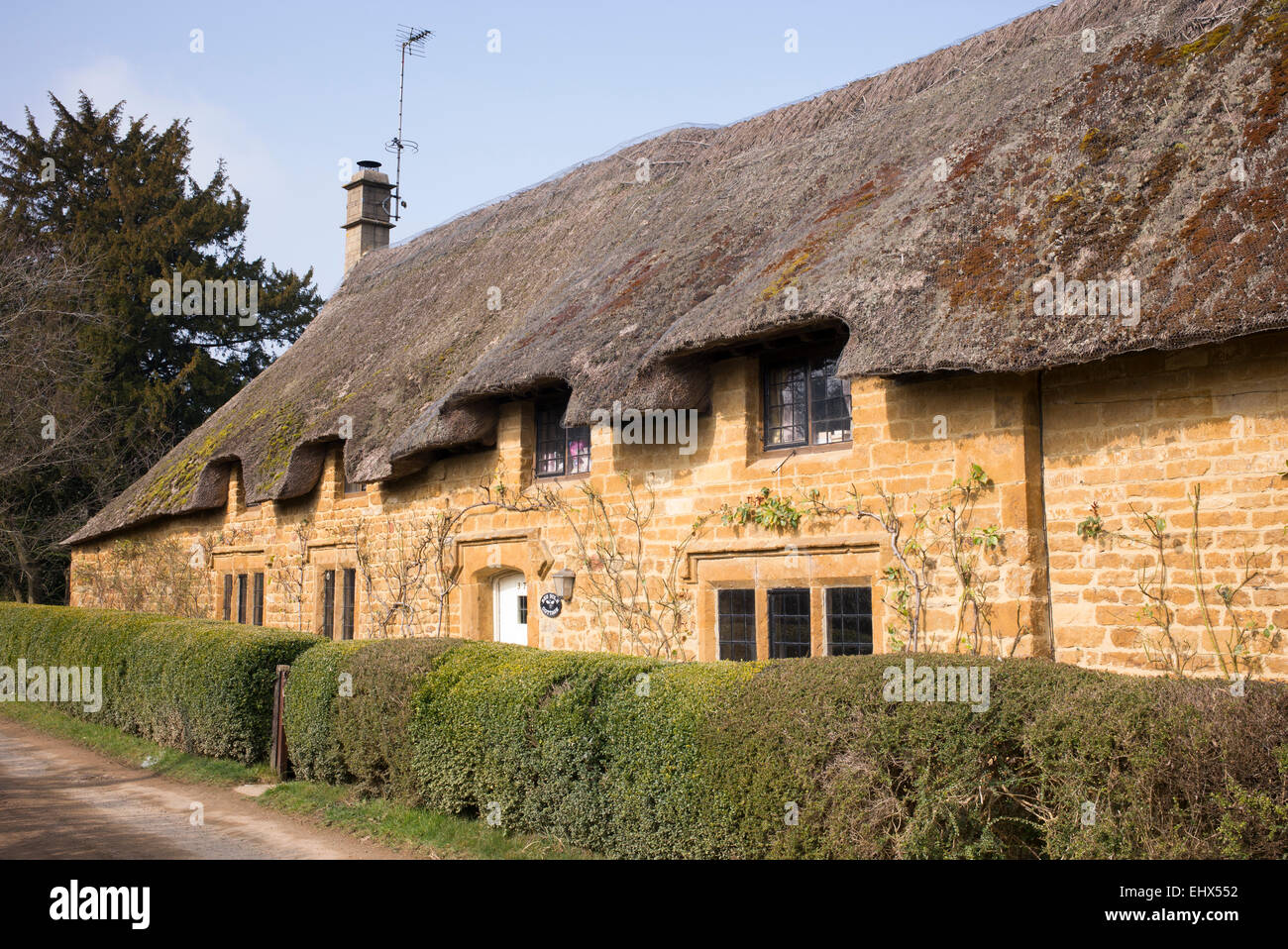 Englische Reetdachhaus. Großen Tew, Oxfordshire, England Stockfoto