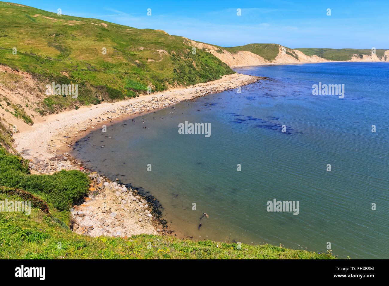 USA, California, Marin County, Point Reyes National Seashore, Strand und Meer Grosswildjäger anzeigen Stockfoto