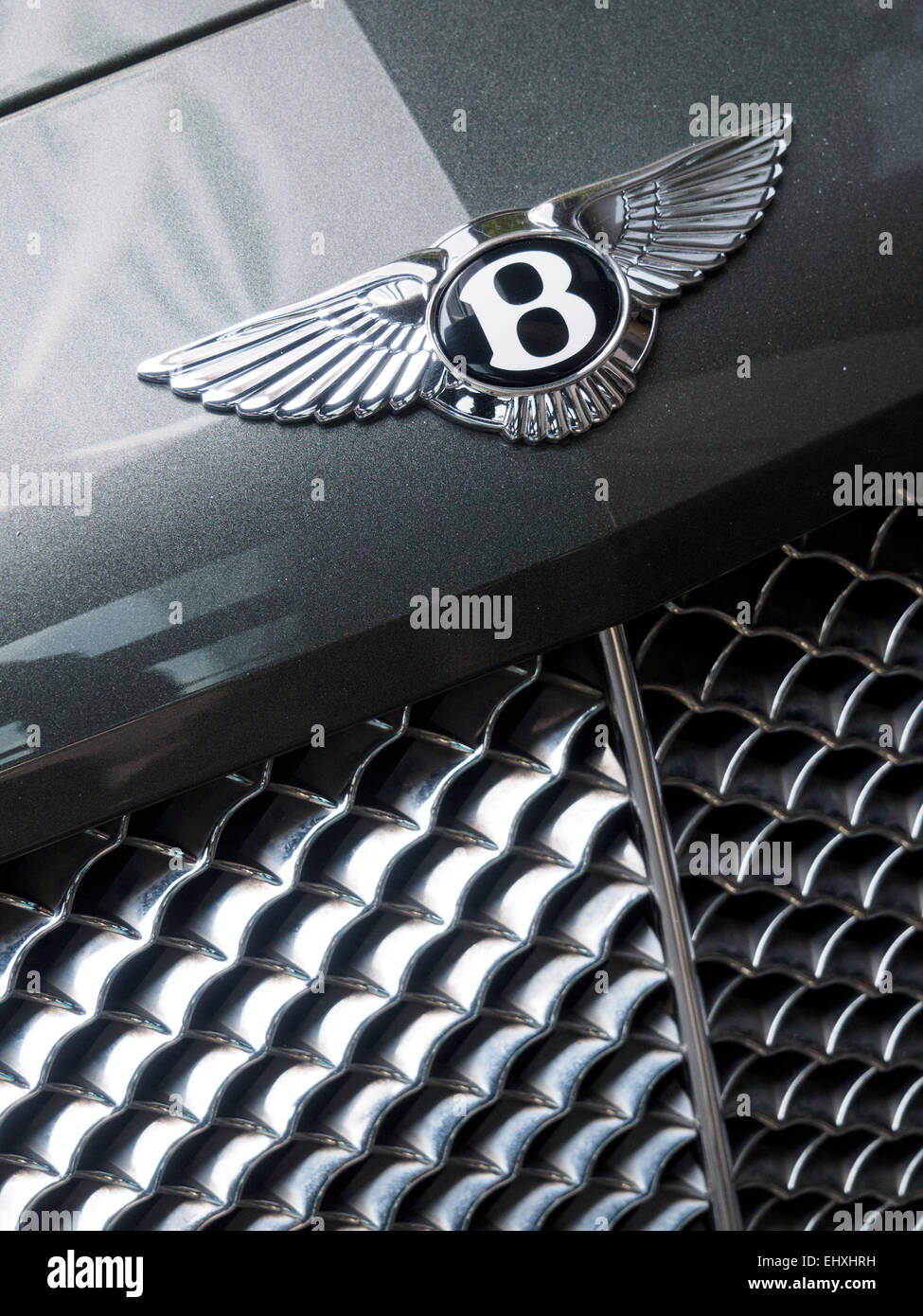 Bentley-Auto-Symbol am Frontgrill Stockfoto