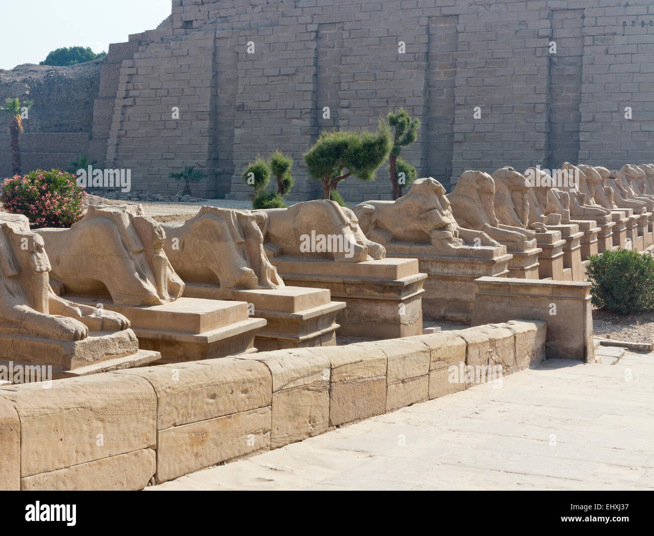 Allee der Ram leitete Sphinxen führt zu den ersten Pylon auf dem Tempel des Amun in Karnak, Luxor, Oberägypten Stockfoto