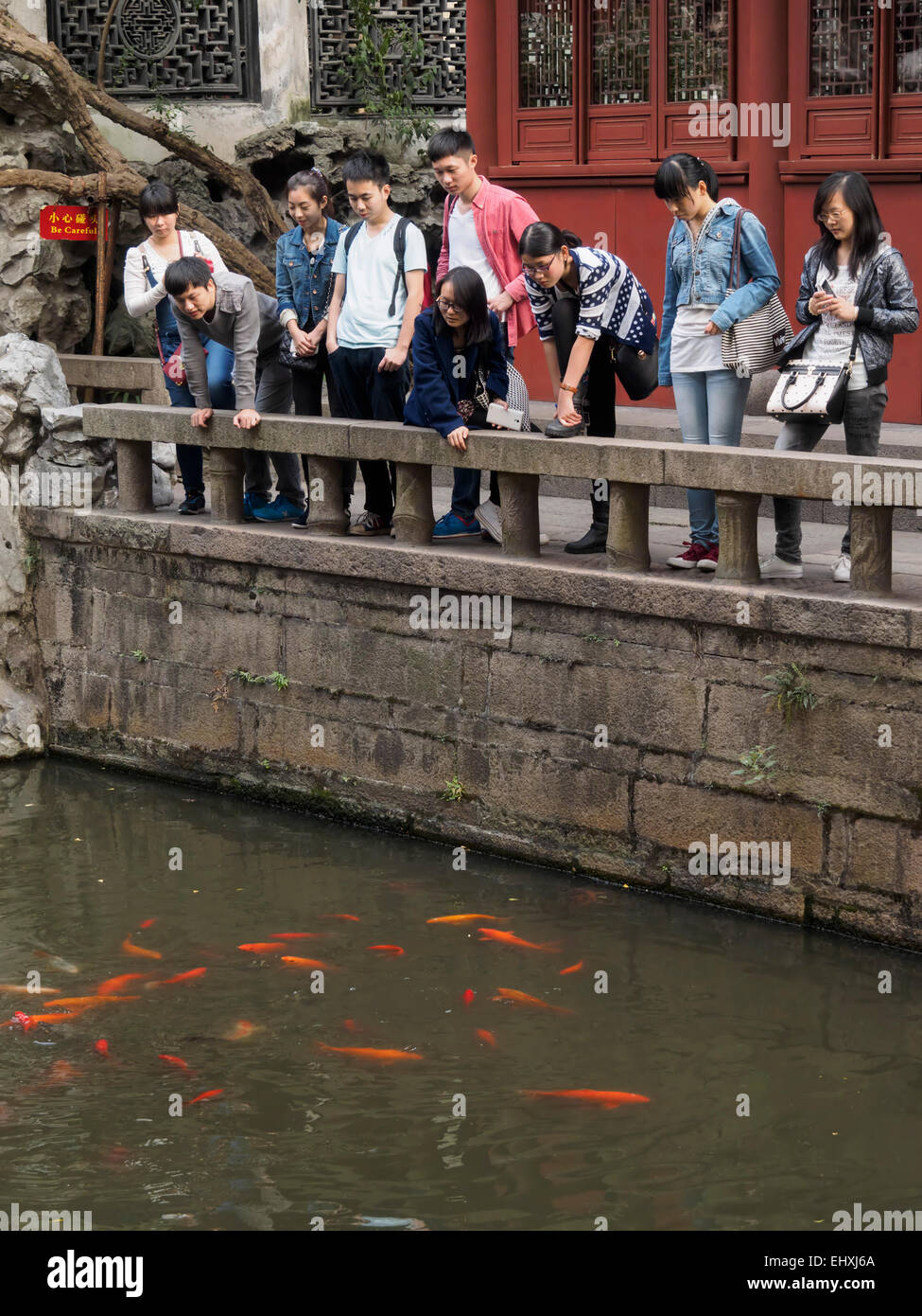 Chinesische Jugendliche betrachten Fische an der Yuyuan-Garten in Shanghai, China Stockfoto
