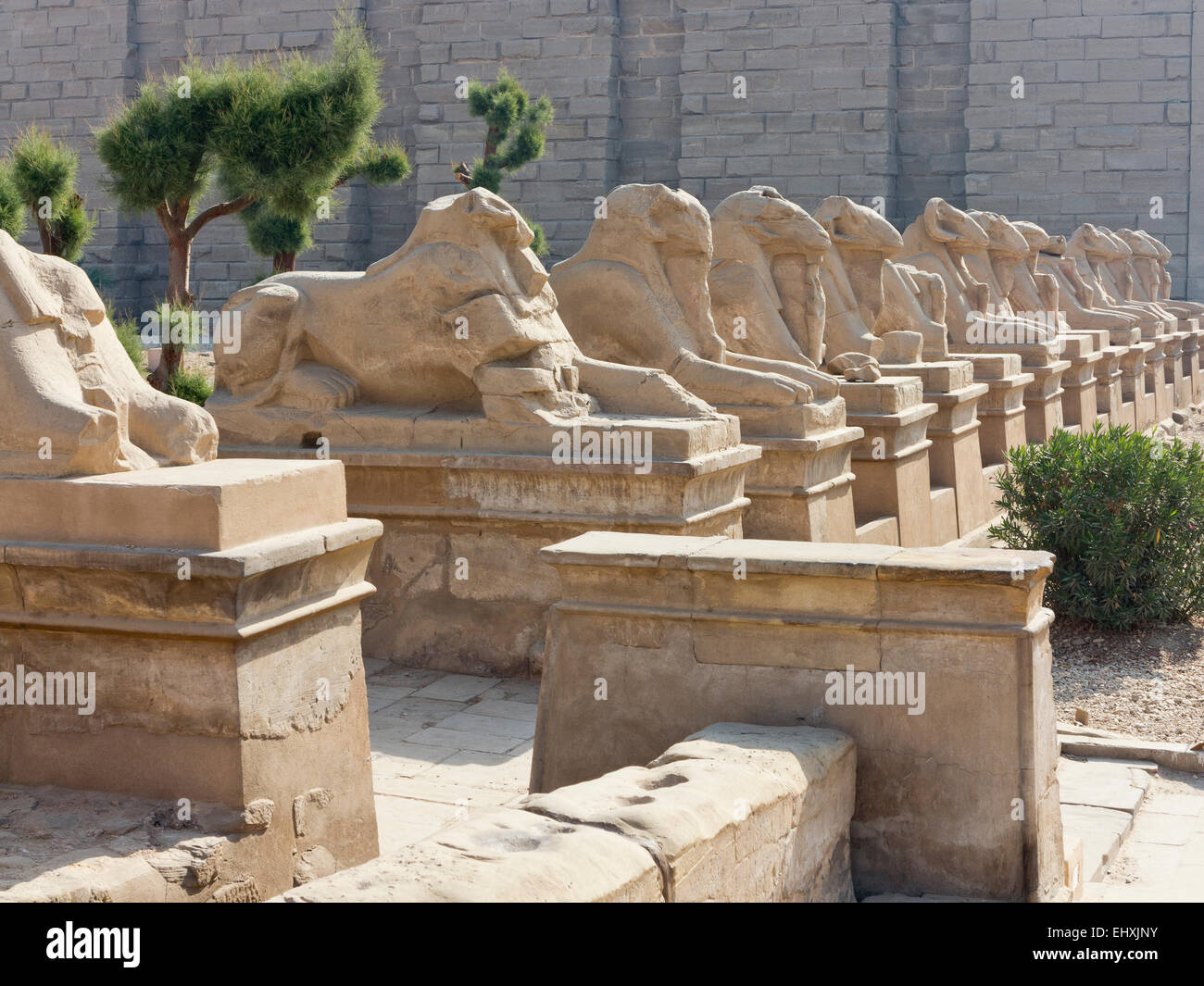 Allee der Ram leitete Sphinxen führt zu den ersten Pylon auf dem Tempel des Amun in Karnak, Luxor, Oberägypten Stockfoto