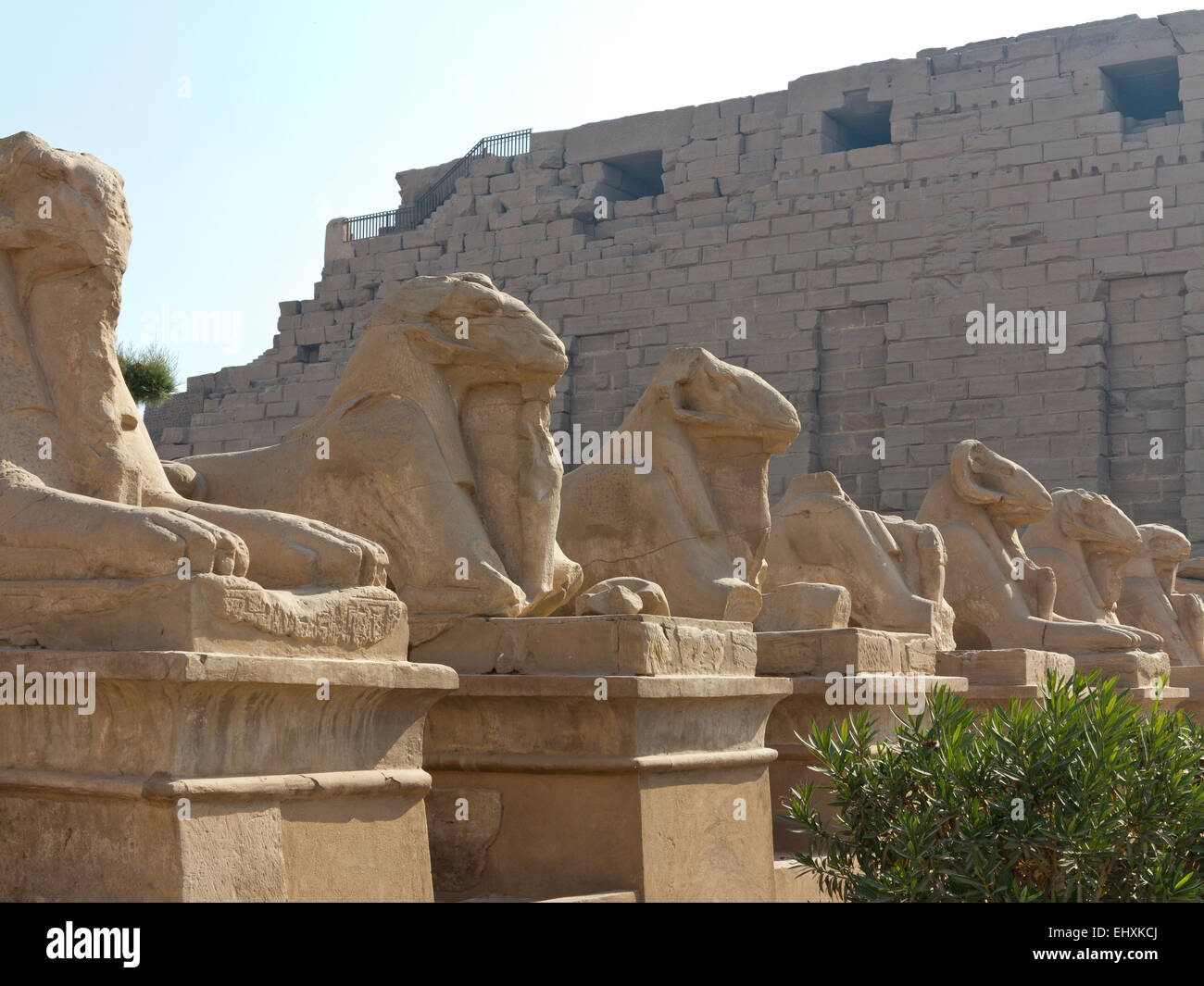 Allee der Ram leitete Sphinxen führt zu den ersten Pylon auf dem Tempel des Amun in Karnak, Luxor, Oberägypten Stockfoto