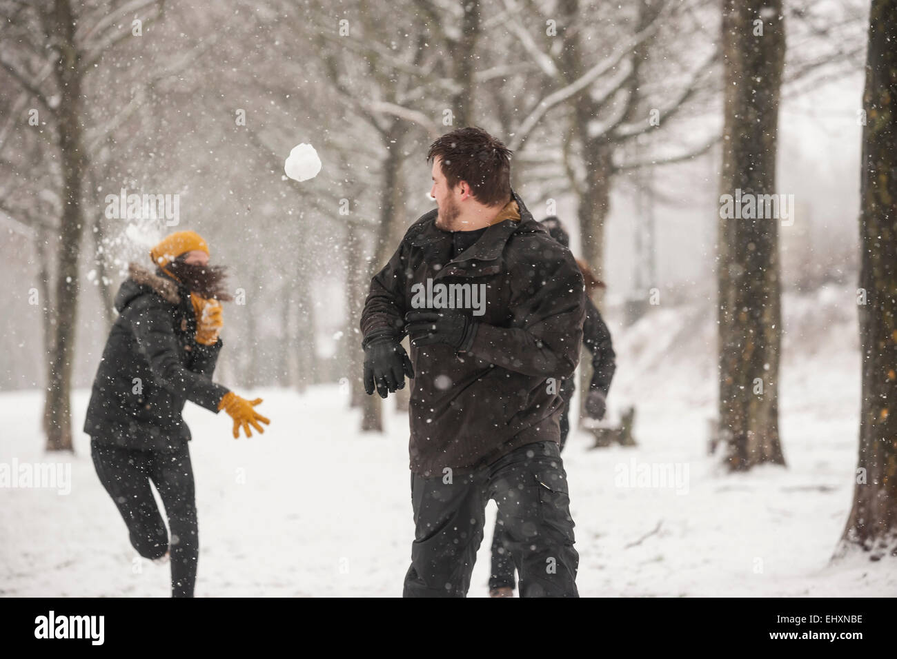 Drei Freunde, die eine Schneeballschlacht Stockfoto