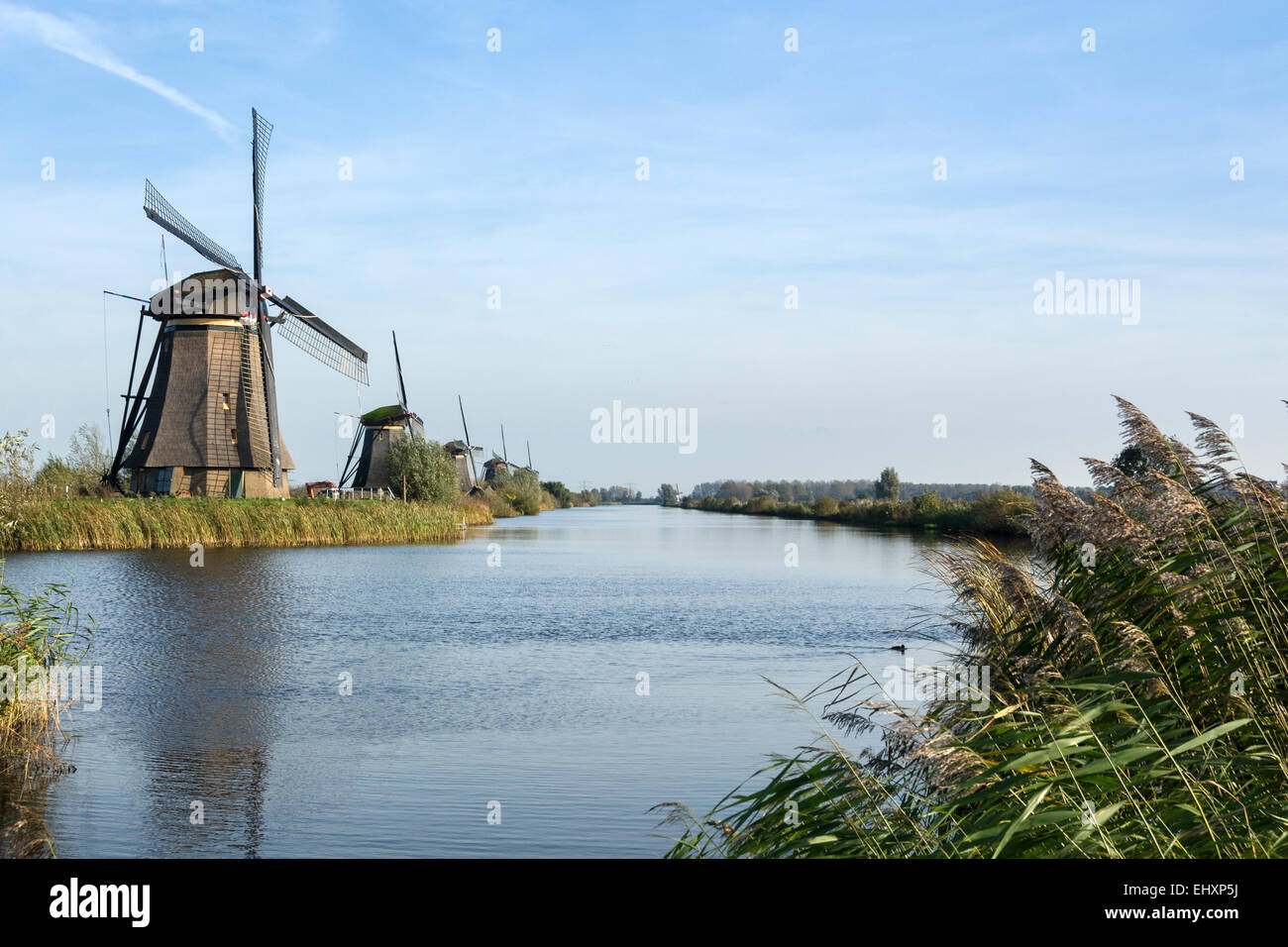 Windmühlen in Kinderdijk in den Niederlanden die stammen aus dem 18. Jahrhundert und wurden verwendet, um Wasser aus dem Land abfließen. Stockfoto