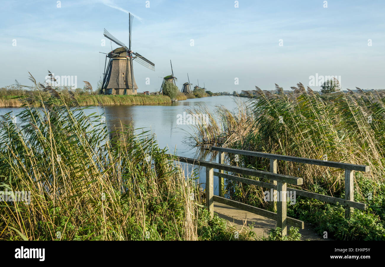 Windmühlen in Kinderdijk in den Niederlanden die stammen aus dem 18. Jahrhundert und wurden verwendet, um Wasser aus dem Land abfließen. Stockfoto